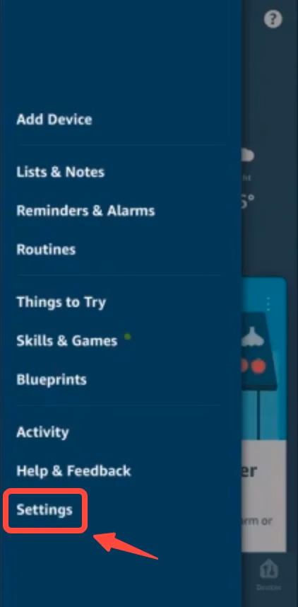 Alexa app settings