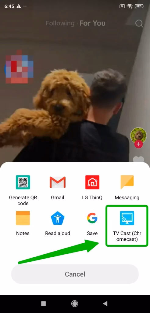 Cast option in TikTok