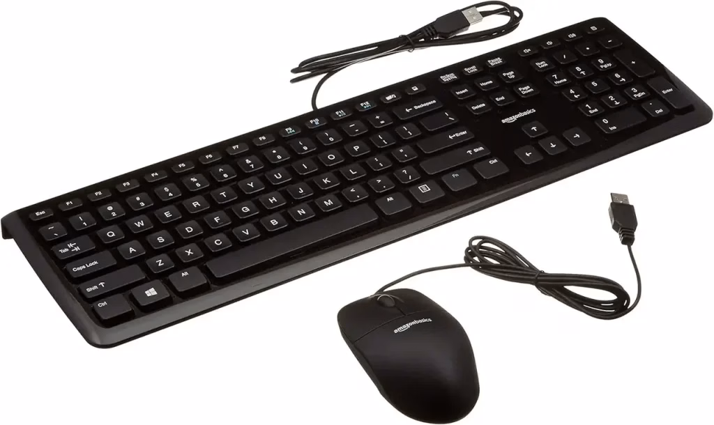 USB Keyboard or Mouse
