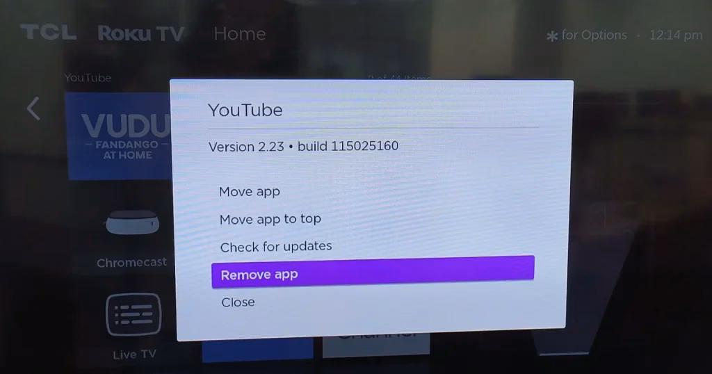 choose to remove the YouTube channel from Roku