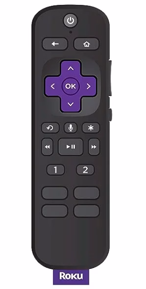 Roku Voice Remote Pro