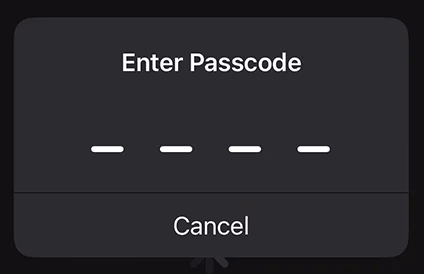 password blank on the television screen