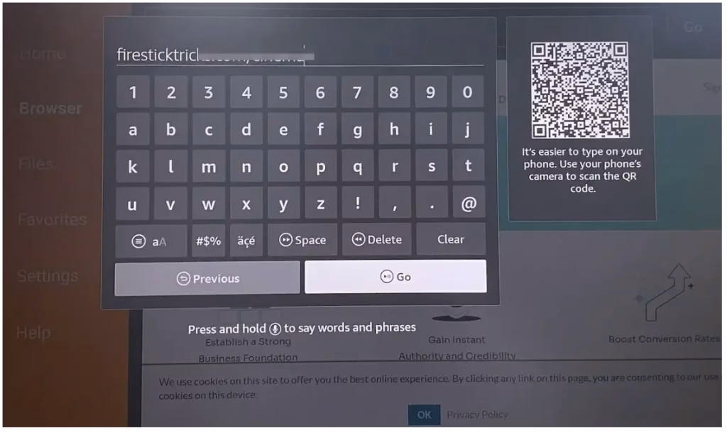 enter something into the URL bar