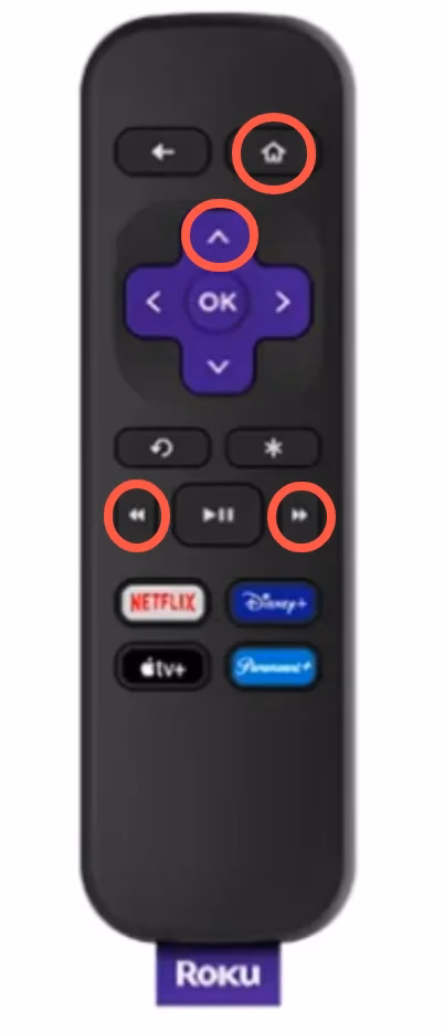 buttons on Roku remote