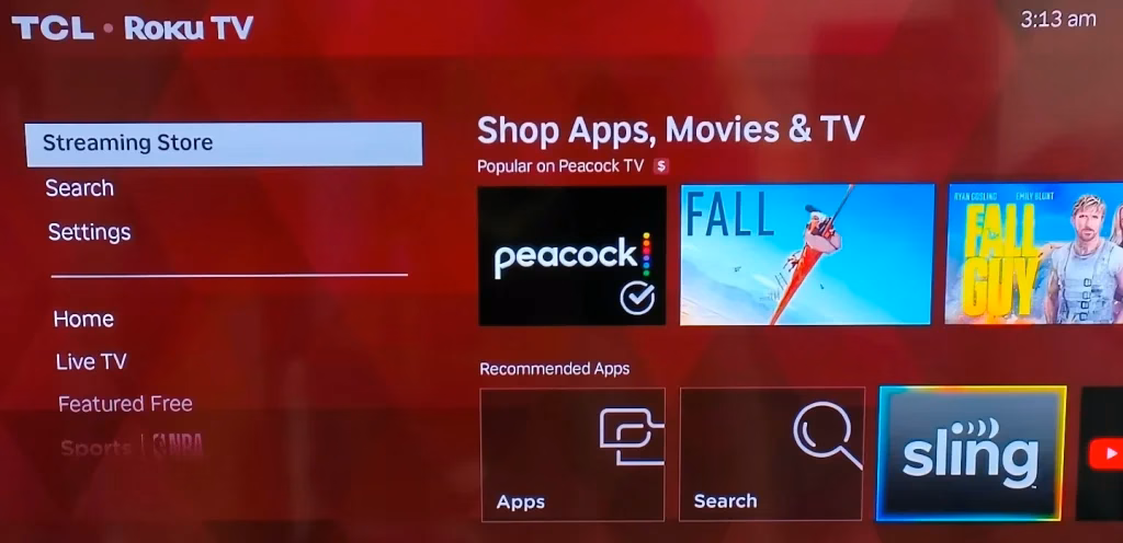 choose Streaming Store on Roku