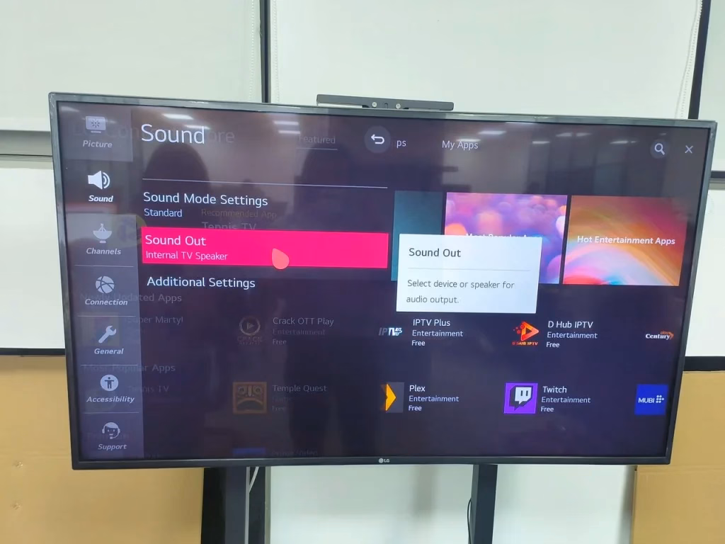 choose the Sound Out option