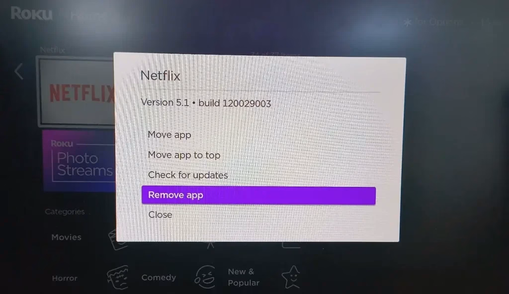 choose Check for updates for the Netflix app