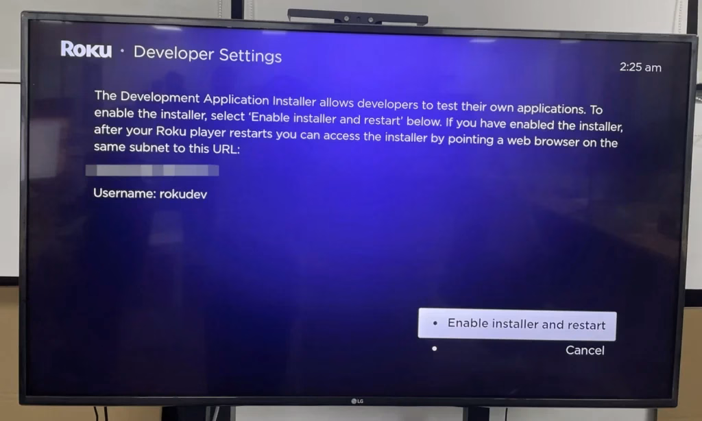 developer setting on Roku secret menu