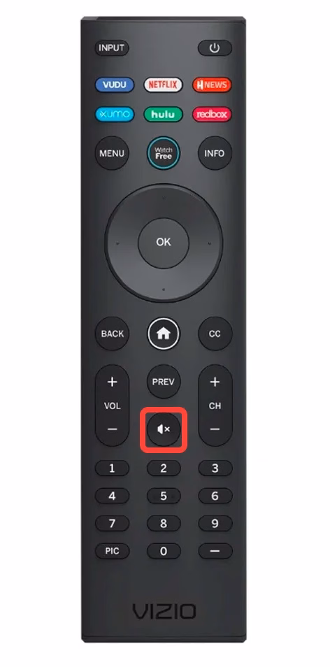 mute button on the Vizio remote